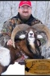 mouflon ram page