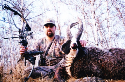 4 horn ram youth hunts