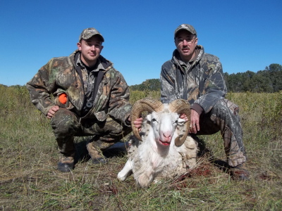 canada sheep hunting