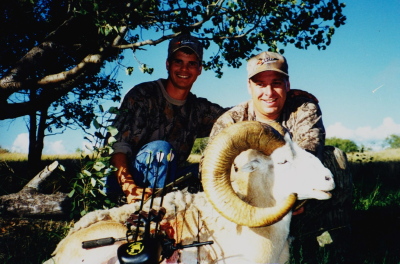 trophy sheep hunts