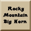 rocky mountain sheep hunts