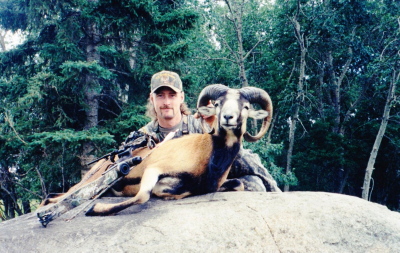 gudied sheep hunt